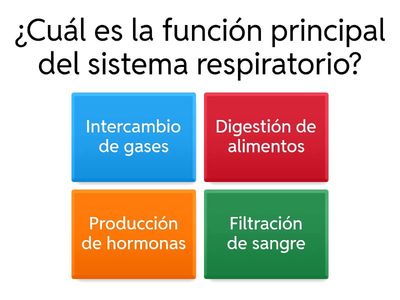 Sistema Respiratorio - Quinto Básico