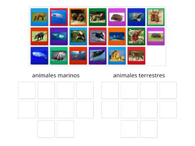 animales