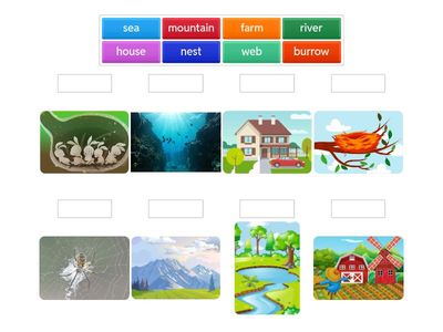 Animal homes (Vocabulary)