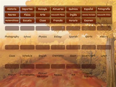 School subjects and school