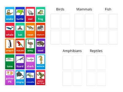 Vertebrate sort