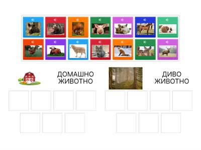 Кои от животните са домашни и кои диви?