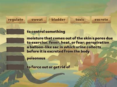 The Excretory System