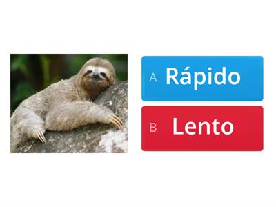 Jogo de associação rápido x lento