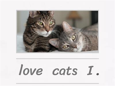 WORD  PUT THE WORDS IN ORDER 