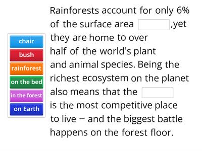 Competition in the Rainforest