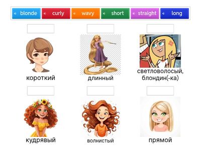 Spt 7 Module 3B (hair) appearance 