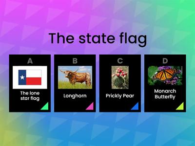 Texas symbols quiz