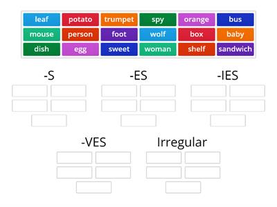 Fly High 3 Irregular plurals