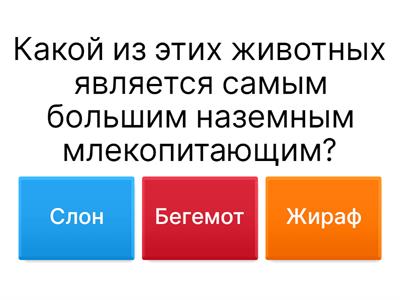 Дикие животные.