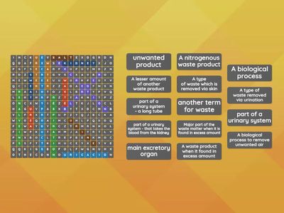 Grade 8 I excretory system