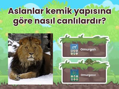 Hayvanları Tanıyalım