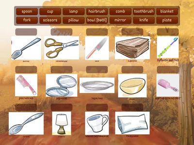 Own it!2_Useful objects_Unit 2