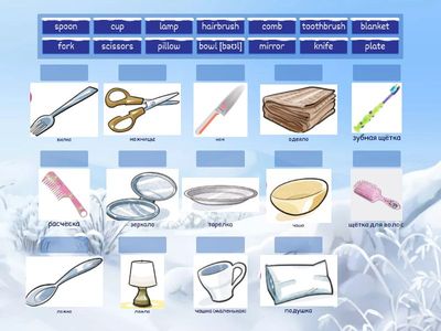 Own it!2_Useful objects_Unit 2