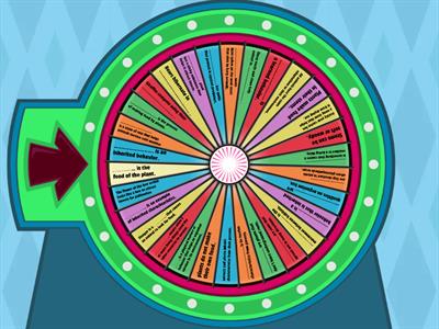 Revision - Second Term.