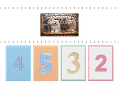 Activitate matematica grupa mijlocie 