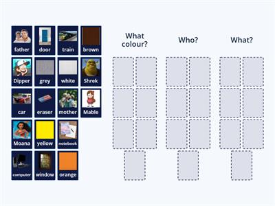 What colour how many who what where