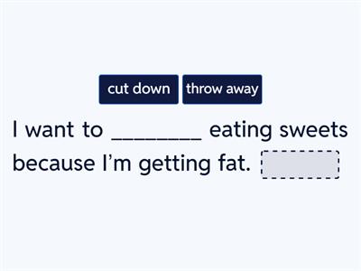 Get Involved A2+ Unit 5 Phrasal Verbs