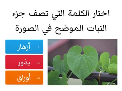 مراجعة علوم الصف الاول ابتدائي