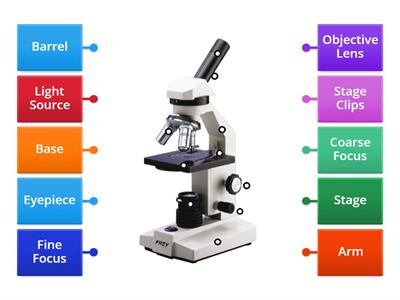 Label the Light Microscope