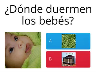 Los bebés: Preguntas y respuestas 