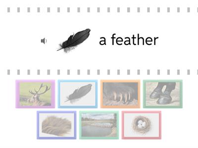 Edmonton animals: Describing animals