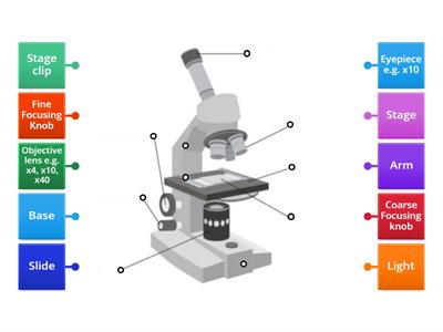 Labelling a Light Microscope