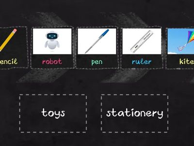 G4 - SPEED SORTING - Toys/Stationery with PICTURE