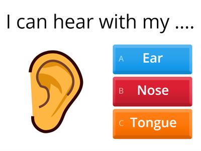 G1Q3/080224 - Five senses (ESL review)