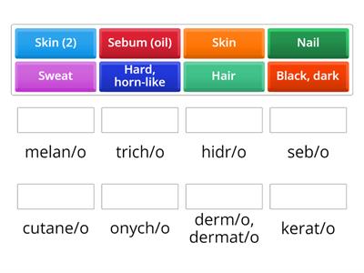 Integumentary System Word Roots