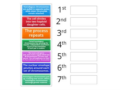 Meiosis order