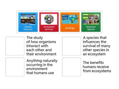 Unit 3 Lesson 3 SAVVAS 6th Grade Vocabulary Practice