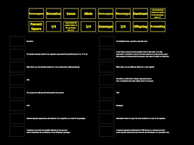 2022 Genetics Review Gameshow