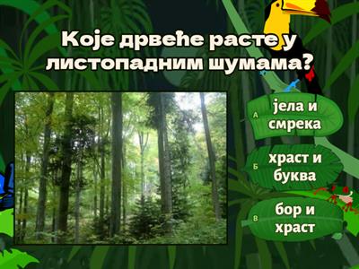 Шуме - природне копнене животне зајднице