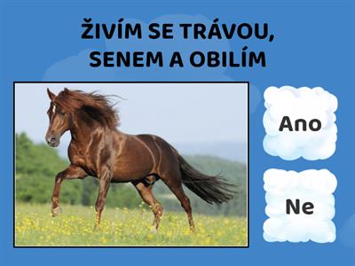 Hospodářská zvířata - ano x ne