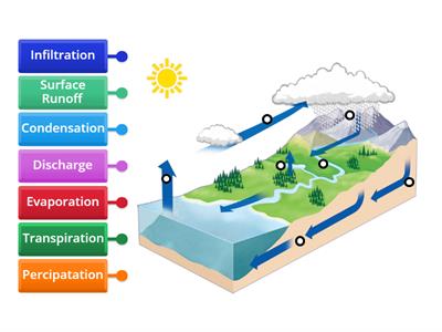 Water Cycle Labeled Diagram