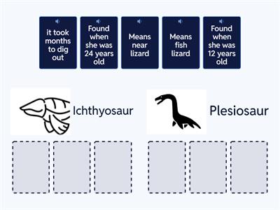 Mary Anning's Fossil Discoveries