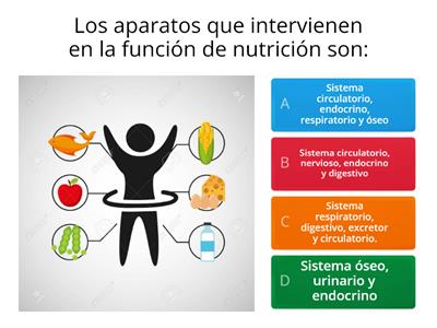  La nutrición humana 