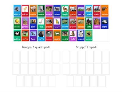 animali quadrupedi e bipedi