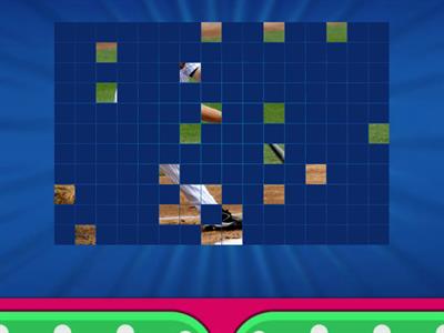 Past Participle-Image quiz-5