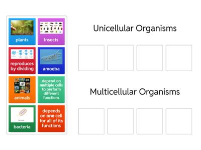 Unicellular VS Multicellular Organisms
