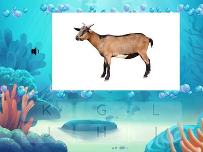 Найди первую букву слова