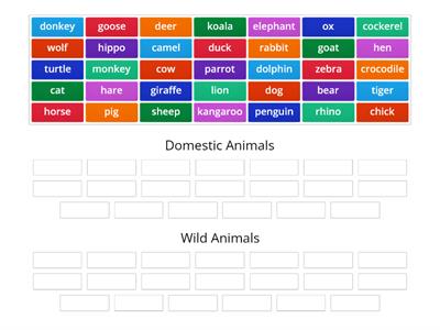 Rainbow English 3 Unit 7 Animals