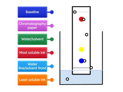 Paper chromatography