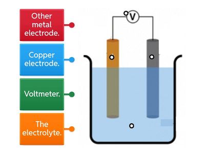 Label an Electrochemical Cell