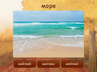 我的、你的 РКИ