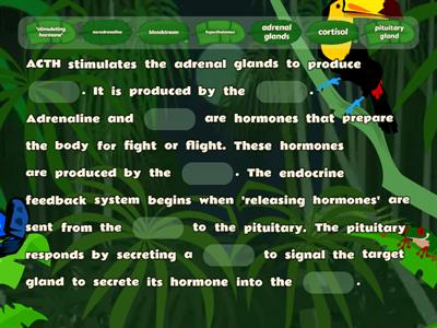 The Endocrine System