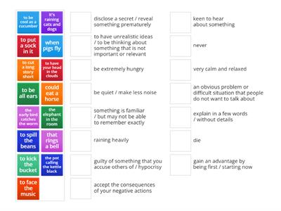 Idioms - guessing game