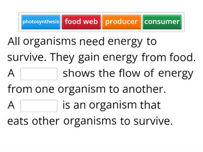 Food Webs Missing Word (4th - 5th Grade Science)