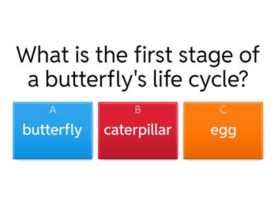 Language= Feelings, Traits and life cycle